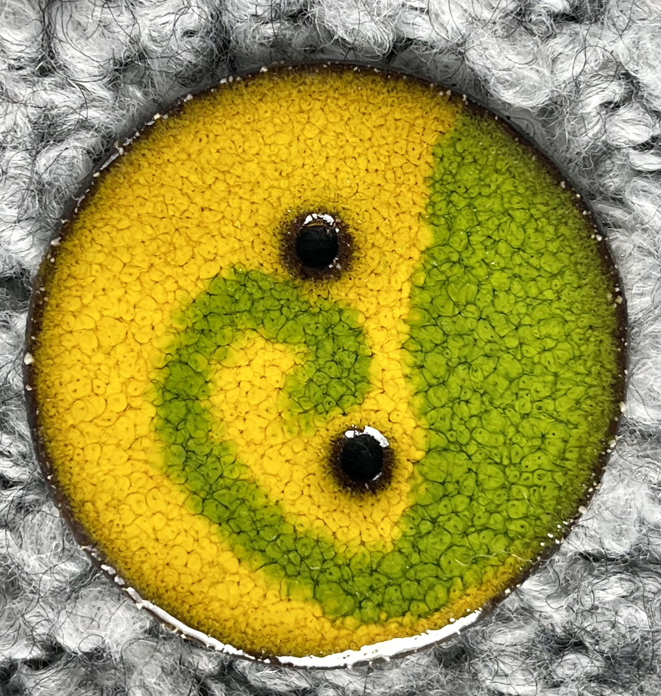 Jeden guzik - 45 mm